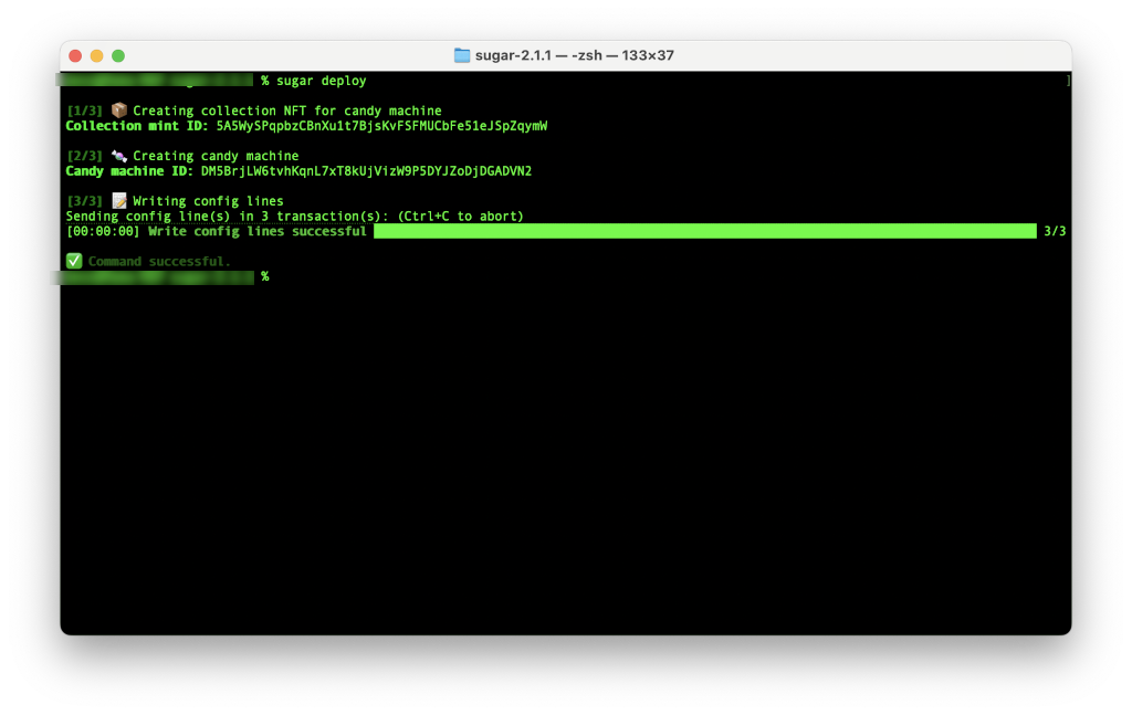 Screenshot of deploy