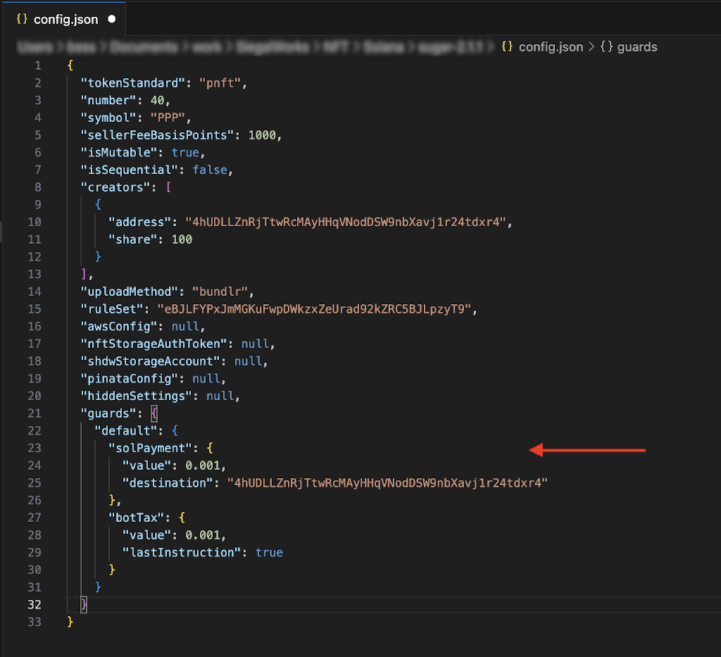 Screenshot of config.json with guards