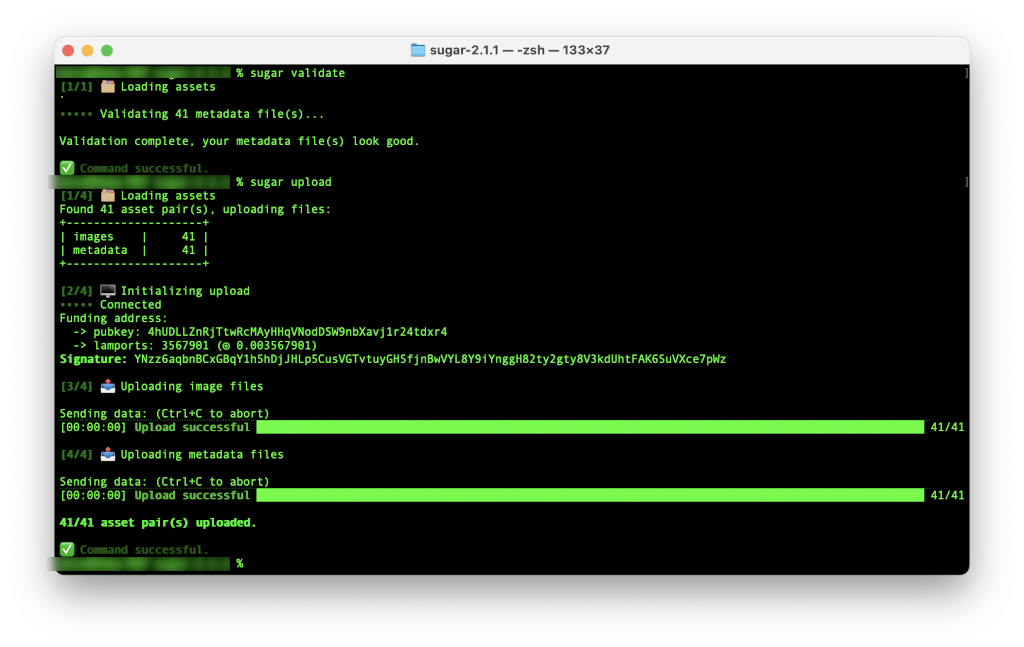 Screenshot of validate and upload